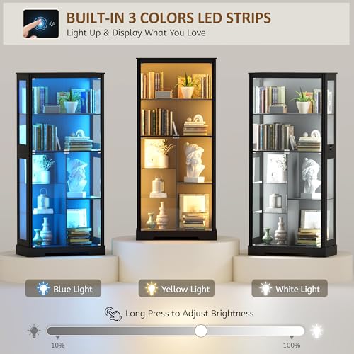 71” Glass Display Cabinet with - огляд і ціна Lighting & Home Decor Studio Photos