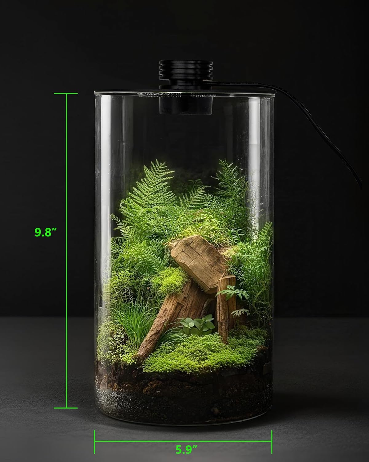 Indoor Glass Terrarium with Gr - огляд і ціна Office Lighting Decor