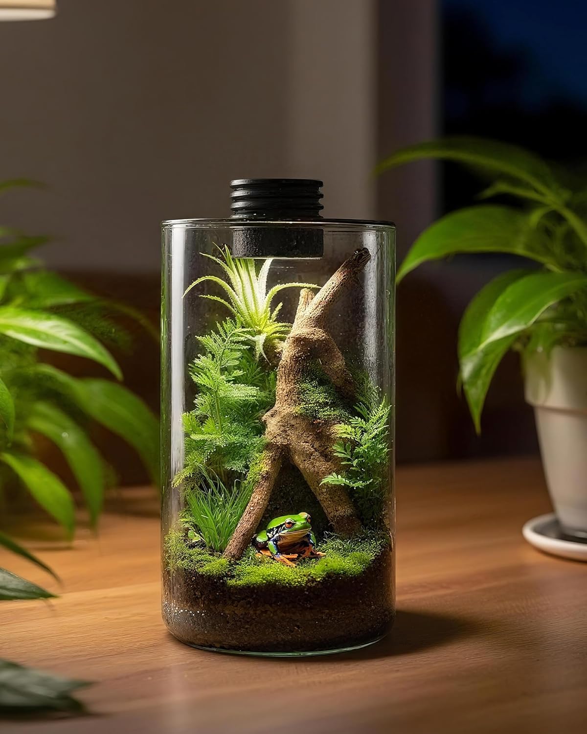 Indoor Glass Terrarium with Gr - огляд і ціна Office Lighting Decor