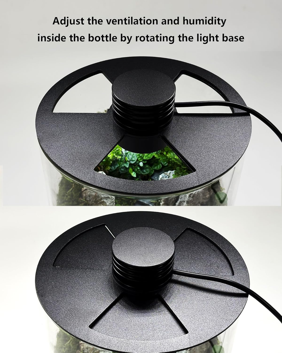 Indoor Glass Terrarium with Gr - огляд і ціна Office Lighting Decor